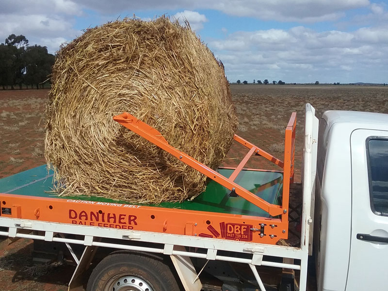 Round bale arm holding a round bale square on the feeder belt